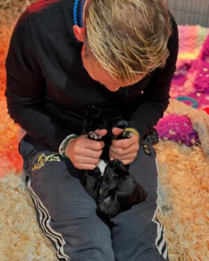 Dominic Monaghan Instagram - Puppy love explosion!! #becurious