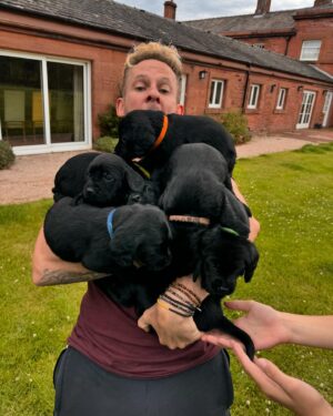 Dominic Monaghan Instagram - Puppy love explosion!! #becurious