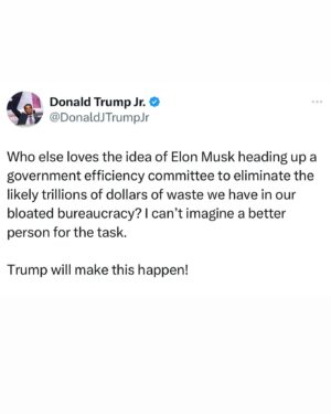 Donald Trump Jr. Instagram - This would literally save us trillions and there probably isn’t a better technical person alive to make it happen.