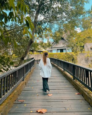 Doretta Papadimitriou Instagram - Nature’s peace
🌴🍃
#bali #makingmemories #beauty