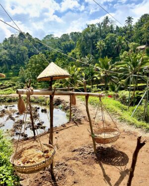 Doretta Papadimitriou Instagram - If you never go ,you will never know ..
#bali #makingmemories #travel