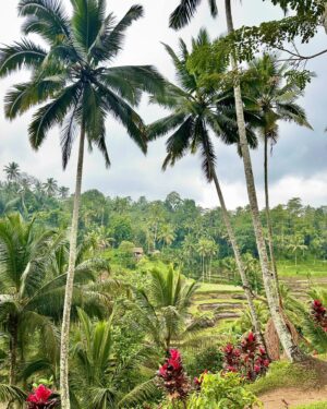 Doretta Papadimitriou Instagram - If you never go ,you will never know ..
#bali #makingmemories #travel
