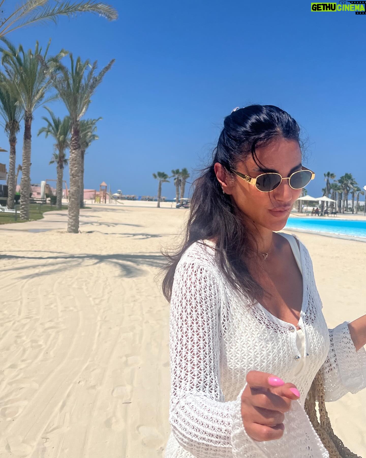 Dorra - 225.5K Likes - 💕🤍☀️🌊🌴🍋☕️🥤🍣🐚🏝️