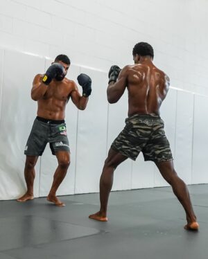 Douglas Lima Instagram - Sept 7th we work!

@triadmechanical