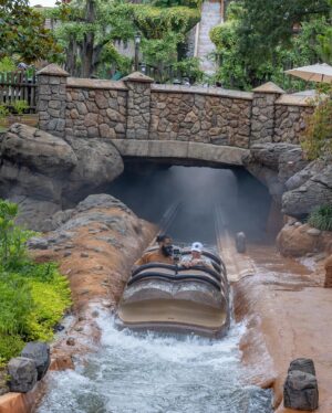 Drew Brees Instagram - Had a great time with @camjordan94 in Disney World unveiling the new ride Tiana’s Bayou Adventure. The new ride opens June 28…you’re gonna get wet! Great soirée afterward with the entire family of Leah Chase, a huge inspiration behind the Disney film “The Princess and the Frog”. Lots of great food, music and the best of Nola!  @DisneyParks #TianasBayouAdventure