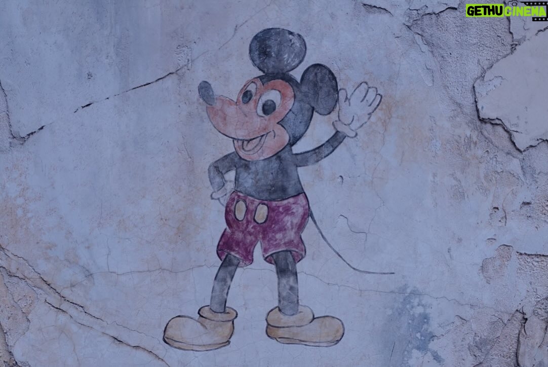 Drew Starkey - 675.1K Likes - Fichwa! Fellow. Thanks @waltdisneyworld @disneyparks 🐭