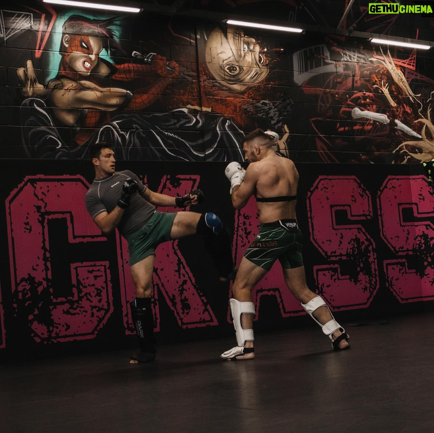 Dricus Du Plessis - 42K Likes - Win or die trying🇿🇦
#ufc305
