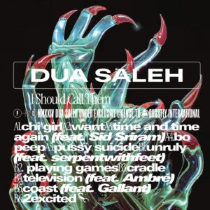 Dua Saleh Instagram - im so excited to announce my debut full-length album! – I SHOULD CALL THEM out OCT 11 via @ghostly – 

as i have grown as a person, i realized that im sort of guarded. sometimes it’s difficult to be vulnerable & to share parts of myself that i haven’t really wanted to confront. ive always written about my life but was often timid w/ expression (cloaking lyrics in a veil that offered obscurity). 

now, im leaning into my raw emotions more than ever, allowing myself to dance to the rhythm of the universe. i was beckoned by a force of nature to do this & almost feels like a quest, an oddessy-like experience. the songs on this album are an experimental itineration – they’re sonically complex and blend genres that float freely in my mind. 

at the heart of it all, it’s a collection of songs that portray the spiritual power, resilience, joy of love, & pain of heartbreak found b/n two lovers. 

im thankful for so many ppl that have helped this become a reality. i can’t wait for u to experience it ❤️ 

preorder #ISHOULDCALLTHEM the album on vinyl   cd now on DUASALEH.com & ghostly.com

tracklist

chi girl
want
time & time again ft @sidsriram
bo peep
pussy suicide
unruly ft @serpentwithfeet
playing games
cradle
television ft @ambre
coast ft @sogallant
2excited

art/design @michaelcina
photo @grantspainer
creative dir. @bradenxlee
mix @love_burg
mastering @alecness

producers & collaborators
@suwito @theregoesbiako @stint__ @arsononly @andrewbroder @waveiq @slinger @psymunbeats @distancedecayy @gloomer_ek @rogetchahayed @1mindmusic @fortunebeats_ @laurenfaith @tony_seltzer @theidiotmusic @nathan_butts @malikninetyfive @iamwesleycurtis @c_tag @biglildd @josef.lamercier @rebellon @linushablot 

label & team
@ghostly @concordmusicpub @sv4 @chrisswanson_secretly @aberenson @t_almy @pkalaw.co @bradenxlee @internetsumaya @nootheragency @goodmachinepr @callenderde @wassermanmusic @scottmelroseplace
 
features @dazed x @pitchfork