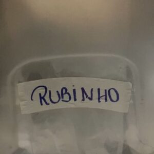Dudu de Oliveira Instagram - Sempre namorei o cinema, desde da época do meu primeiro filme, lembro de ir com o meu pai assistir “Os Trapalhões” ver tudo numa tela grande me causava encantamento.

Bom, eis que no meu segundo filme eu gravo com 2 pessoas de dois tempos distintos. A @sandyoficial  que foi difícil fingir costume com ela, imagina você tá ali com uma artista que você cresceu assistindo na Tv nos programas que passavam no canal aberto, foi um mix de emoções. Obrigado por sua generosidade, não vou esquecer da gente cantando Clocks do Coldplay, você cantando e eu tentando claro gahahahahaahah…. 

E o @fabioporchat que já admirava por ser um artista multifacetado, e que inspira muito qualquer artista, lindo vê- ló no ofício, a inteligência e prontidão em cena. 

Sou grato em ta com eles e com um elenco brilhante que fez parte desse projeto. Obrigado @framboesa_filmes  @pedroantoniopaes @natalymega @fernandamandriola por me darem a chance de trabalhar com vocês. Foi lindo fazer parte desse filme lindo.

Quero agradecer a @castinglab1  e as minhas agentes @deborahcarvalho68  e @fernandaranieri  pela correria que foi esse projeto, me dividir em 1000 para gravar no interior e tb no Rio. 

Ao @felipeventura por ter acreditado em mim e me sugerido ao teste. Gratidão meu amigo, não vou esquecer disso! Juntos 🌻🌻🌻❤️❤️❤️🍀

Galera ainda está nos cinemas. Corre!! Filme está maravilhoso.

#tbt #bastidores #cinemanacional #evidenciasdoamor