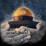 Dumoo Tahseen