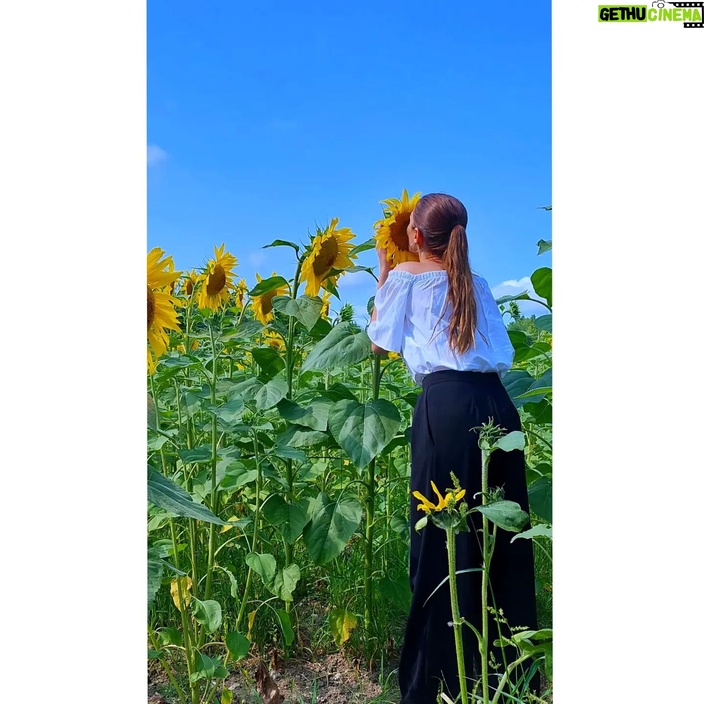 Duygu Çetinkaya - 3 Likes - Bugün, mevcut olan her şeydir; şimdi senin var olduğun, her zaman var olacağın yegâne zamandır. Yaşamak istersen ya şimdi olacaktır ya da asla olmayacaktır.