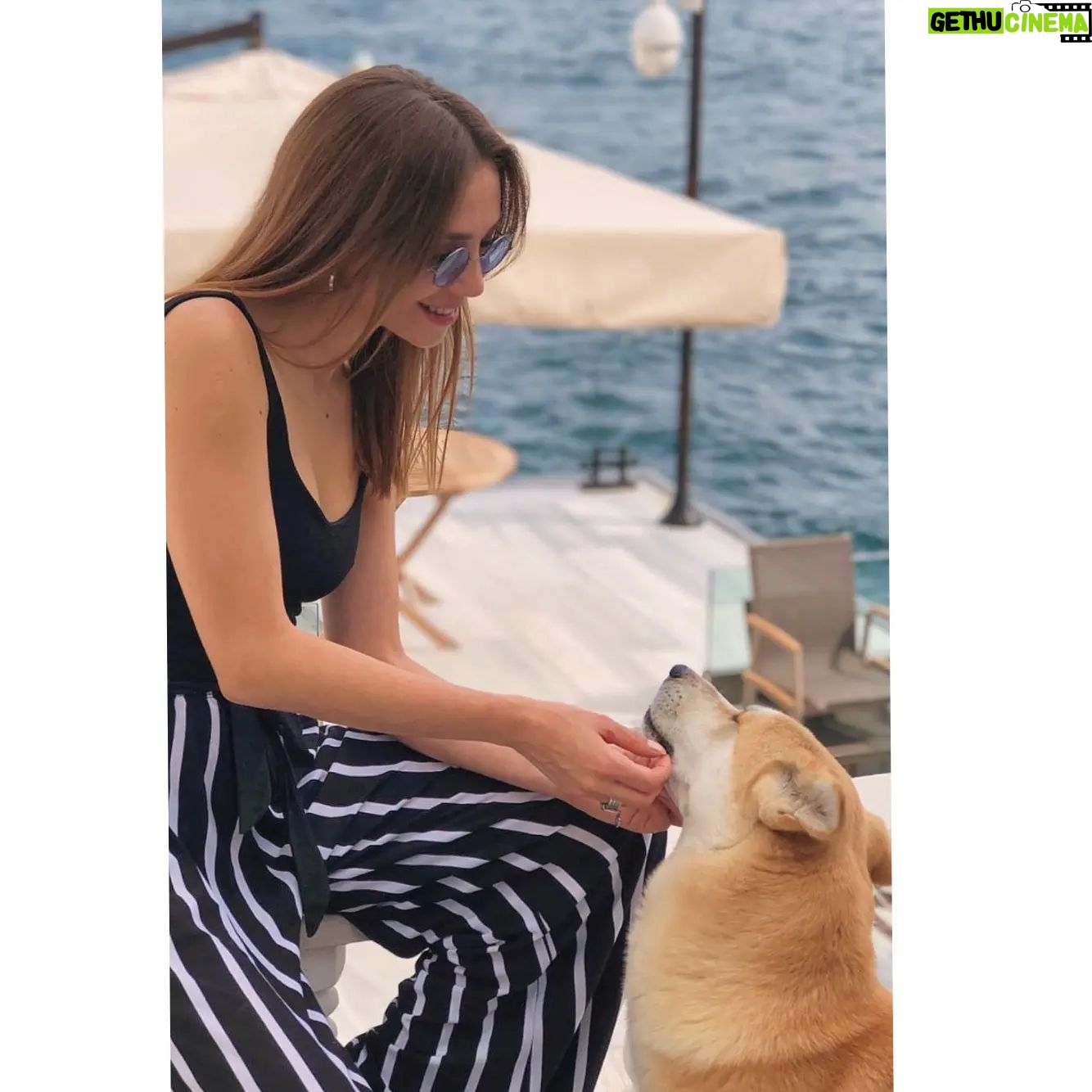 Duygu Çetinkaya - 3 Likes - Hayatta en erken kaybettiğimiz ve eksiğini en çok duyduğumuz şeydir ‘Güven’!
Seviyorsan git ısır bence, köpek gibi sevdiğini o da anlasın...😁🙃