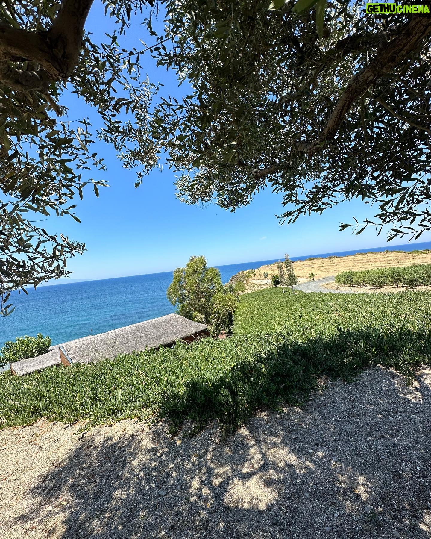 Duygu Sarişin - 3 Likes - 🏖️🏝️