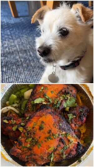 Ed Weeks Instagram - Indian food with Arthur! #WeeksEats
.
#indianfood #lambroganjosh #tandoori #naan #saagpaneer #foodporn #losangeles #california