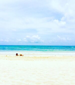 Edward af Sillén Instagram - Efter Orlando (Florida) och dess efterlängtade överdos av påkostade berg-å-dalbanor, väntade 10 dagar här på Mexikos vackra östkust. Playa del Carmen och Tulum. Rekommenderar varmt! Maten, drycken, juicerna, frukterna, det varma havet och små äventyr i djungeln.
