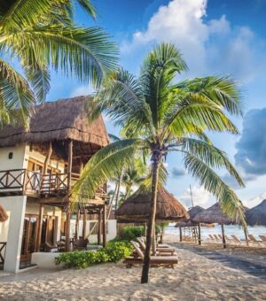 Edward af Sillén Instagram - Efter Orlando (Florida) och dess efterlängtade överdos av påkostade berg-å-dalbanor, väntade 10 dagar här på Mexikos vackra östkust. Playa del Carmen och Tulum. Rekommenderar varmt! Maten, drycken, juicerna, frukterna, det varma havet och små äventyr i djungeln.