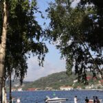 Ege Kökenli