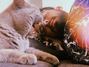 Ege Tanman Instagram - evimin icindeee kedimlee yapayalniz uyurkeenn 💤😻
