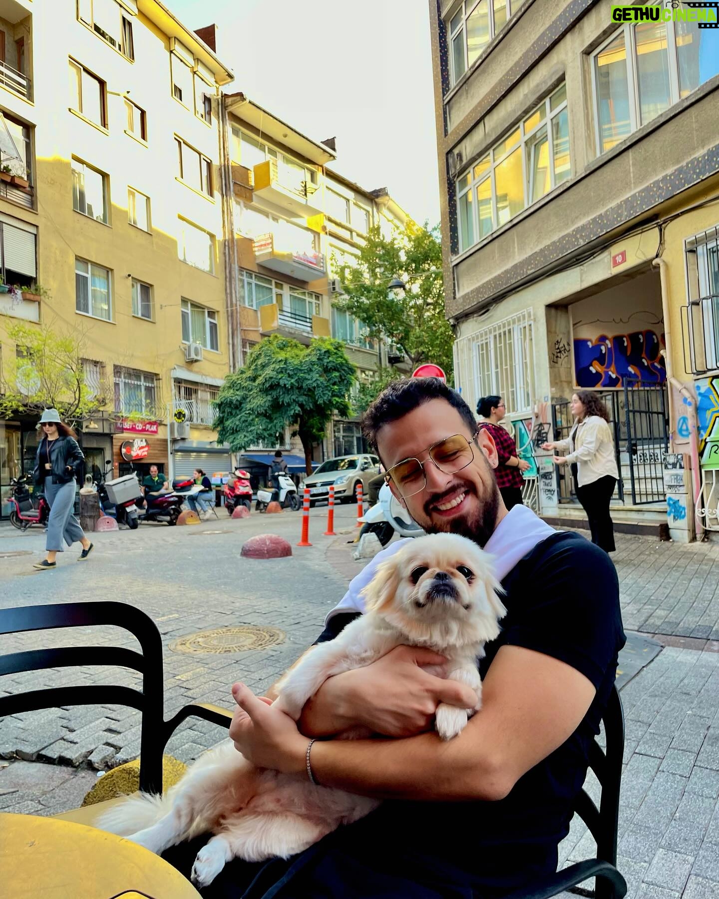 Ege Tanman - 9.3K Likes - yazı çok özlemedim ama bahar gelse fena olmaz ⛅️