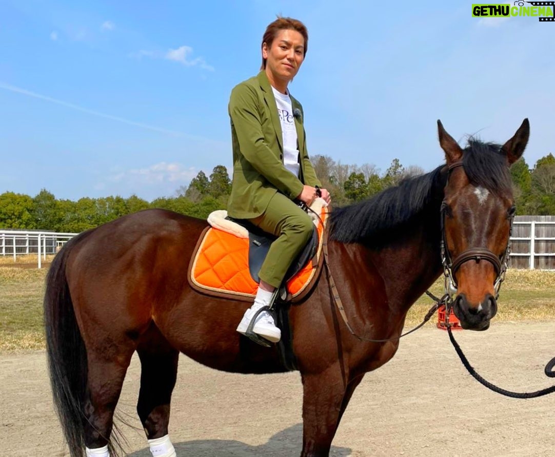 Eiko Kano - 10.1K Likes - ビックリシタナモーって馬に会いに行ってきました!
引退してゆっくり過ごしてました!
めっちゃ癒されました!
可愛かったぁ✨
#湖南馬事センター
#netkeiba