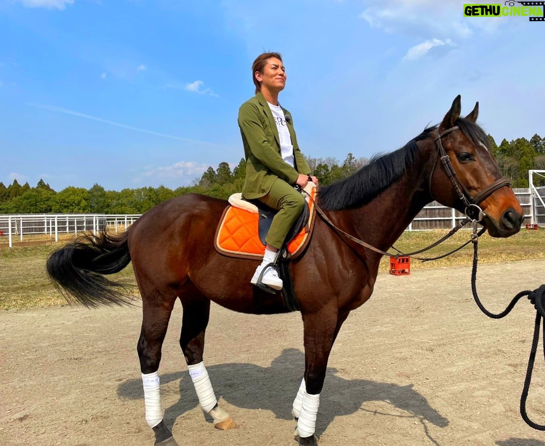 Eiko Kano - 10.1K Likes - ビックリシタナモーって馬に会いに行ってきました!
引退してゆっくり過ごしてました!
めっちゃ癒されました!
可愛かったぁ✨
#湖南馬事センター
#netkeiba