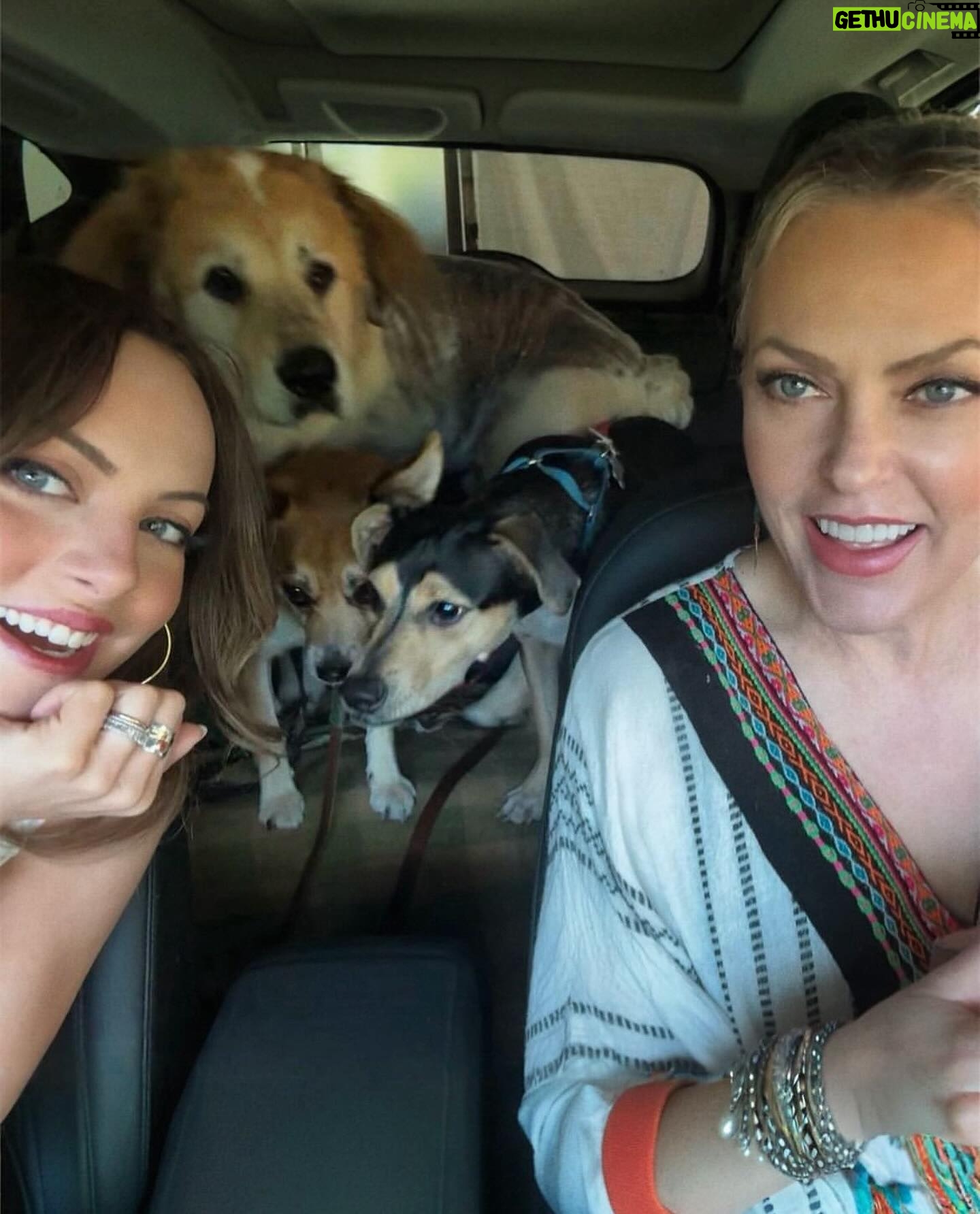 Elaine Hendrix - 17.8K Likes - We’re celebrating my @lizgillz today. Because it’s her birthday. ILY Lizzy. 🥳