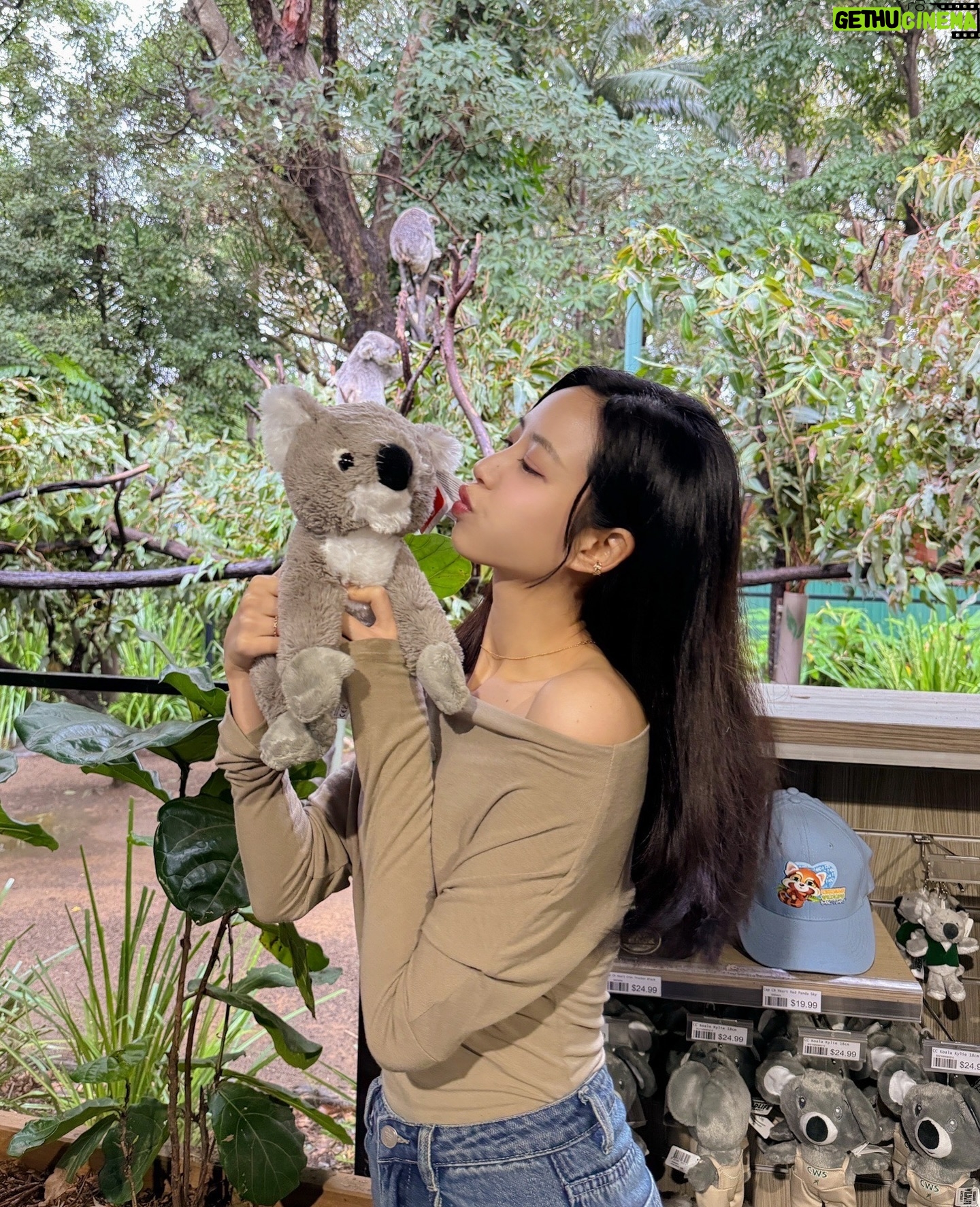 Elaine Ho - 12.9K Likes - 終於抱到無尾熊了🐨₊⁺♡̶♡̶₊⁺🐨
謝謝放晴的天氣
讓我順利看到可愛的無尾熊和袋鼠!