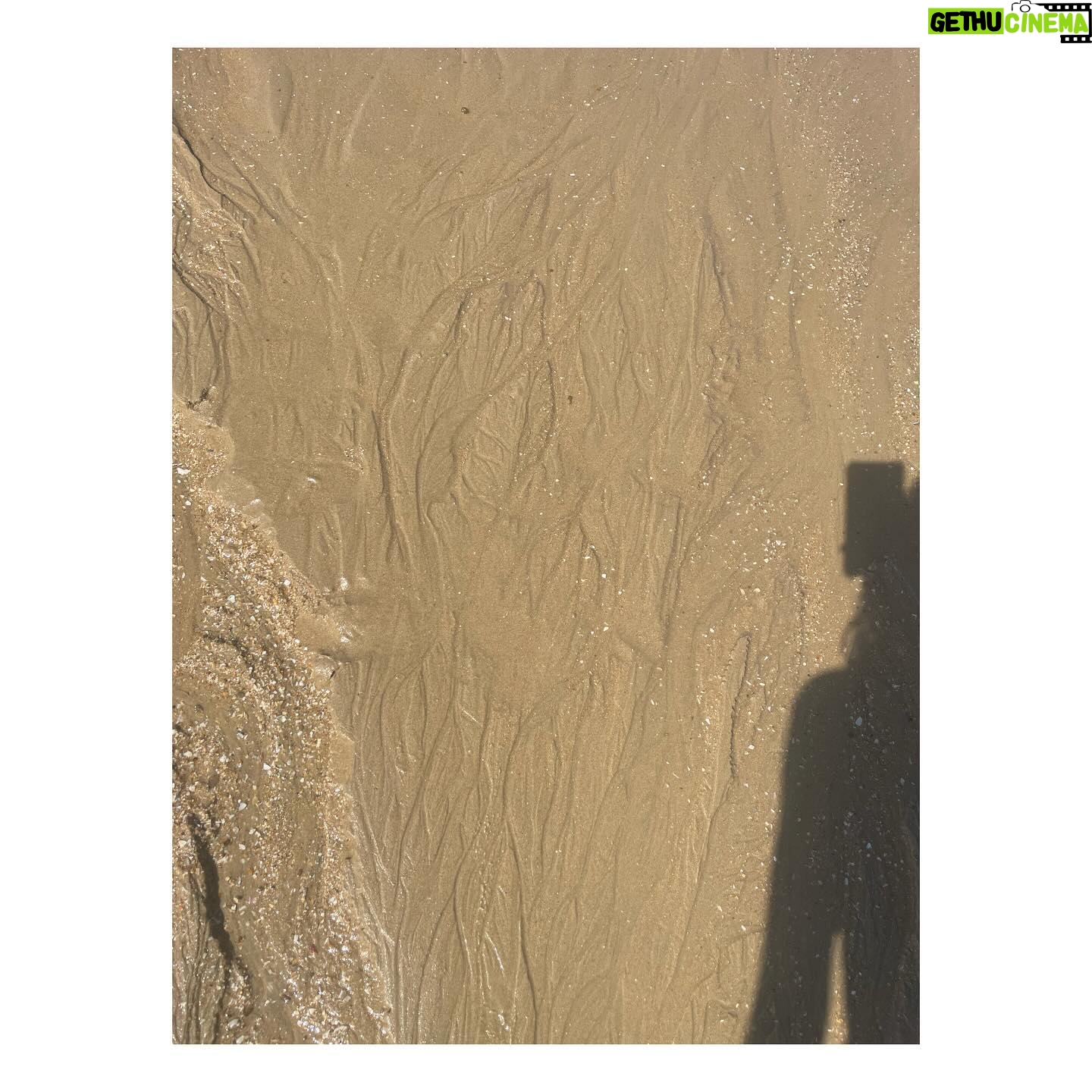 Elena Furiase - 6.7K Likes - Presagios del final… 🌷☀️🪸
1. Algo me pinchó…pero la foto quedó bien!
2. Mi familia 💦
3. La bungavilla blanca, mi favorita.
4. Hojas en la arena 🌿
5. Mi niño “a-dorado” 🌅
6. Las chicas en la playa.
7. La calma..