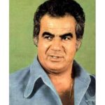 Elham Jafarnezhad