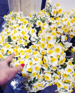 Elham Jafarnezhad Instagram - چقدر دوست داشتم 
این موقع از سال سفر باشم 
و دیشب موقع سال تحویل میلادی
در کنار همسفری از جنس دل
اما نشد که بشه 
جالبه نه تنها سفر نرفتم
بلکه حتی برای گرفتن جشنی کوچولو در حد نوشیدن یه قهوه ام بیرون نرفتم...
با خودم فکر کردم اگه نشد به بیرون سفر کنم،اما در عوض از پارسال تا الان کلی سفرهای درون خودی داشتم (مثل سفرهای درون شهری 😉)
سفرهای به درون برای شناخت بهتر خویشتن خویش و درک بهتر جهان پیرامونم...سفرهایی برای دلداری دل ...برای قوت قلب ...برای برداشتن قدم های محکم اما سبک تر .‌..برای حتی یک قدم نزدیک تر شدن به انسانیت ...
برای یک قدم مهربان تر بودن
امیدوارم حتی ذره ای موفق بوده باشم.
#سال_نو_میلادی_مبارک 
#2019 
جاده سفر در #دو_هزار_و_نوزده اتون هموار و پر نور❤🎄🎉