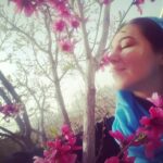 Elham Jafarnezhad