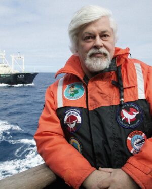 Eli Roth Instagram - Arresting a man who has dedicated more than 50 years to protecting the oceans is not a good look for Denmark internationally.  They arrested him on behalf of Japan for breaking up their whale slaughters years ago. Trumped up charges of “obstruction of business” for stopping them from killing whales. 
Paul Watson’s lifetime of direct actions have saved the lives of countless great whales, dolphins, sharks, turtles and all other marine life that maintain a healthy ocean ecosystem for all of us. 
He should be commended, not arrested therefore I urge Denmark to immediately release Paul Watson and like the US, France and other nations ignore any politically motivated extradition requests. Please go to @captainpaulwatson and @parley.tv to help #FreePaulWatson