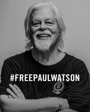 Eli Roth Instagram - Arresting a man who has dedicated more than 50 years to protecting the oceans is not a good look for Denmark internationally.  They arrested him on behalf of Japan for breaking up their whale slaughters years ago. Trumped up charges of “obstruction of business” for stopping them from killing whales. 
Paul Watson’s lifetime of direct actions have saved the lives of countless great whales, dolphins, sharks, turtles and all other marine life that maintain a healthy ocean ecosystem for all of us. 
He should be commended, not arrested therefore I urge Denmark to immediately release Paul Watson and like the US, France and other nations ignore any politically motivated extradition requests. Please go to @captainpaulwatson and @parley.tv to help #FreePaulWatson
