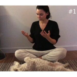 Eline Powell Instagram - Tbt When Dolly helped me figure out ways of doing the “move pain away” tune. Her feedback was very positive. 😂. Tonight’s a two hour showing of @siren ! #whoswatching #mostchilleddogontheplanet