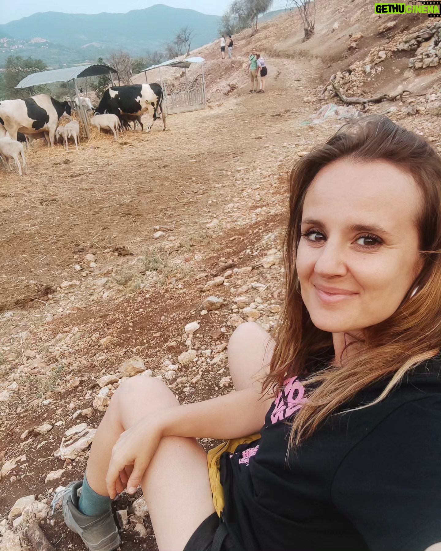 Elisa Di Eusanio - 1.3K Likes - Sono riuscita a godermi un po' di tempo al @capraliberatutti 🐮💜
Vorrei potervi descrivere il silenzio che avvolgeva quello spazio
Ho provato una sensazione di pace e di calma indescrivibile semplicemente nello stare lì in ascolto a osservare i bovini ruminare e ondeggiare con la loro andatura maestosa.
Ho un debole per i bovini
Sono creature che in qualche modo mi incantano
Nessunə di loro ospite qui vedrà mai un macello e credo che loro lo sappiano.
La grande consapevolezza è sapere che esiste la possibilità di un rifugio anche per me
un' altro modo di intendere (volendo) l'esistenza.
Questa possibilità di fuga a portata di mano questa possibilità di decidere in qualsiasi momento che un' altra vita è possibile dona al mio animo una grande serenità.
Grazie @capraliberatutti per la serata magnifica
frammenti di pace e cristalli di luce da portarsi come ruota di scorta nel turbine del quotidiano.
In compagnia della mia nuova acquisita sorella @paolamammini con la quale è una gioia condividere il tempo.
#instaeli