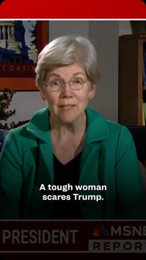 Elizabeth Warren Instagram - What should scare Donald Trump about going up against Vice President Harris? Facing a tough woman, for starters.