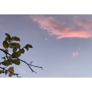 Elsa Punset Instagram - #30segundosdecalma