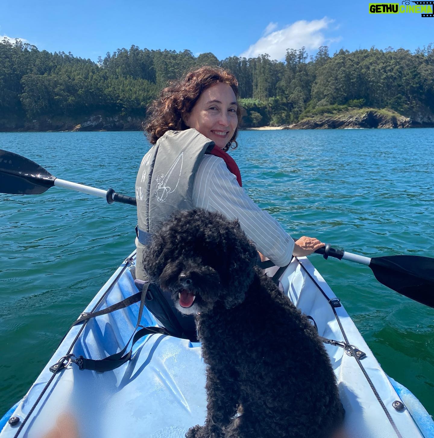 Elsa Punset - 719 Likes - Mañana de remo por las rías con la compañía vigilante y alerta de Blai😀👍 Feliz domingo! #riasaltas #galicia #volveraempezar