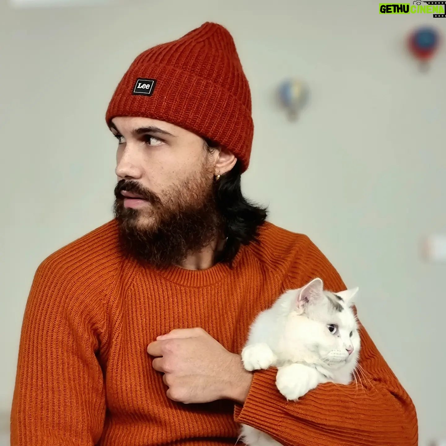Elvis Esposito - 1.1K Likes - Il gatto vede, il gatto sà... 🌍 ⏳️ 🏴☠️
#ilmiogatto
#felini
#ragdoll
#catsofinstagram