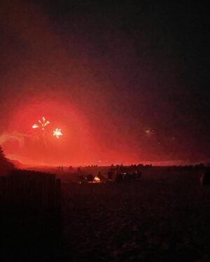 Emily Wickersham Instagram - it’s all fireworks