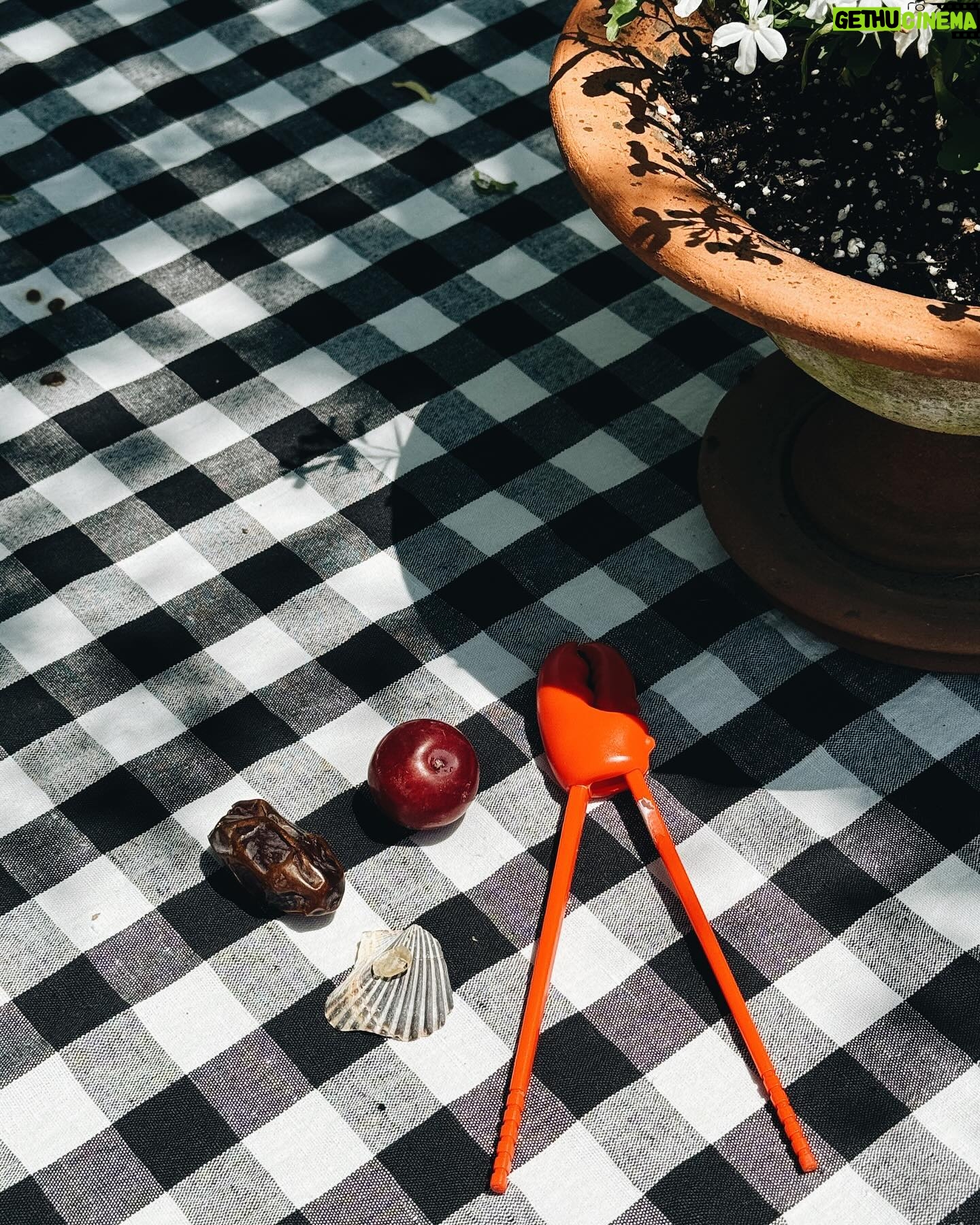 Emily Wickersham | Gethu Cinema