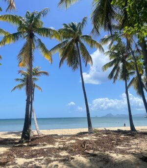Enora Malagré Instagram - Madinina dump 💙🌴🌞