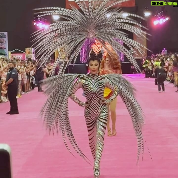 Envy Peru - 29.1K Likes - Representing Holland 🇳🇱 and Peru 🇵🇪 at this years @rupaulsdragcon LA 2024 🖤🤍 What a magical weekend it has been 🤍🖤
Look: @dglamour
Photo: @stunnin.mag
Video: @kevinstuder22
#rupauldragrace #rupaulsdragcon #dragcon #pinkcarpet