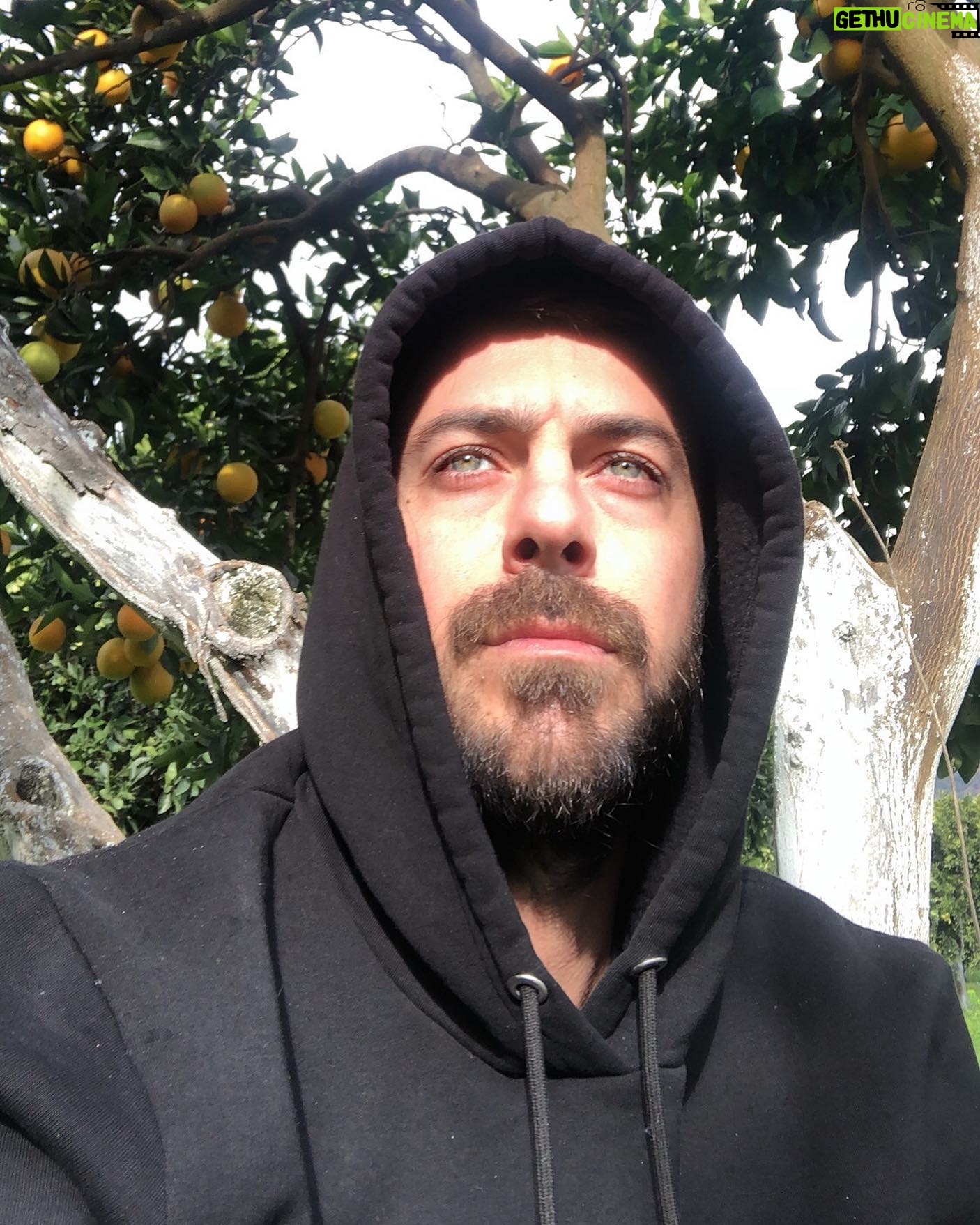 Eren Hacısalihoğlu - 3 Likes - 🍋 🌳