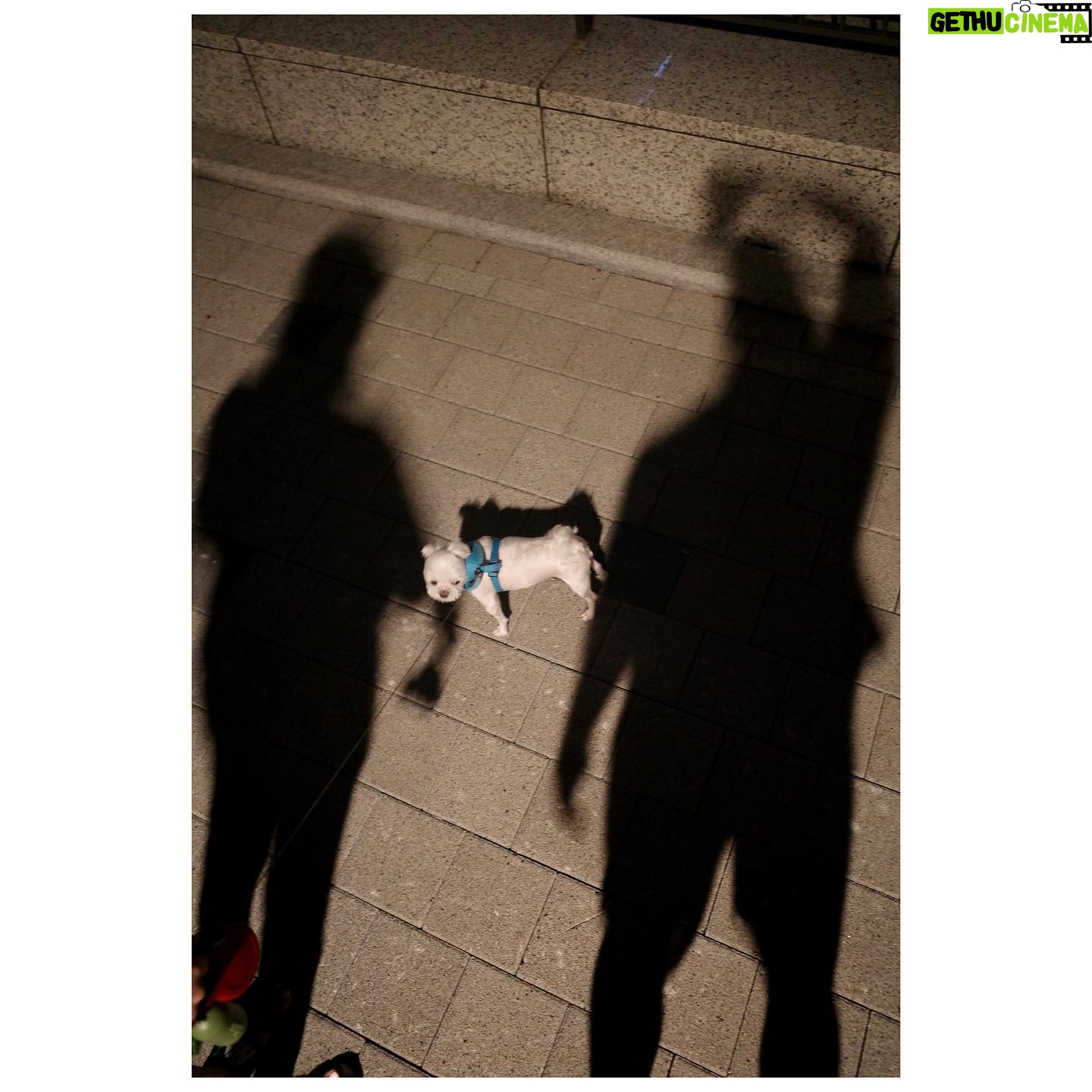 Eric Mun - 7.7K Likes - 곰돌이는 할머니집에~ 소금이와 그림자놀이📷👻 #어제 #말복 #삼계탕 #드신분 #손들어주세요🙋♀️🙋♂️