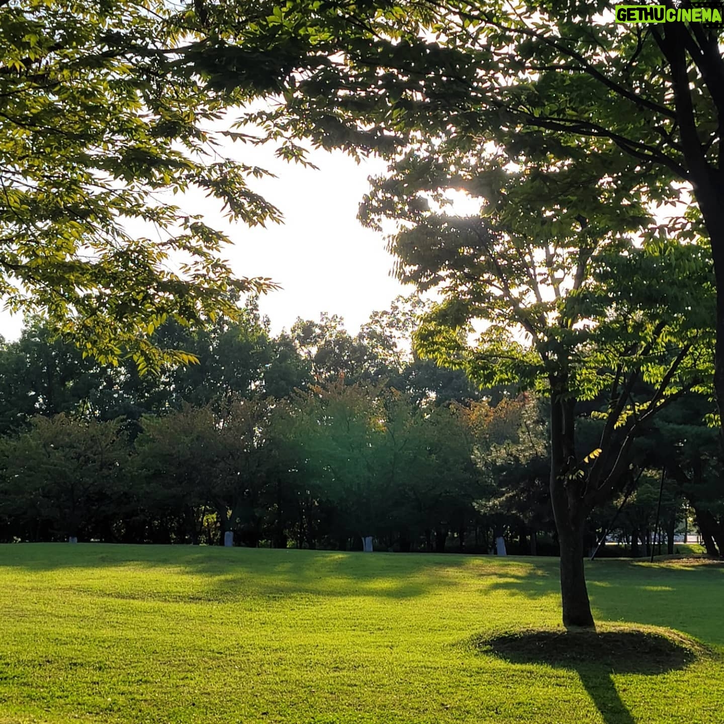 Eric Mun - 7.1K Likes - 호수공원 좋네요~ 일산 계신분 없나요? 킨텍스 근처 맛집 추천 부탁드립니다~ #일산 #일산맛집 #일산호수공원 #킨텍스 #킨텍스맛집 #추워졌네요😨 #감기조심하세요😷
