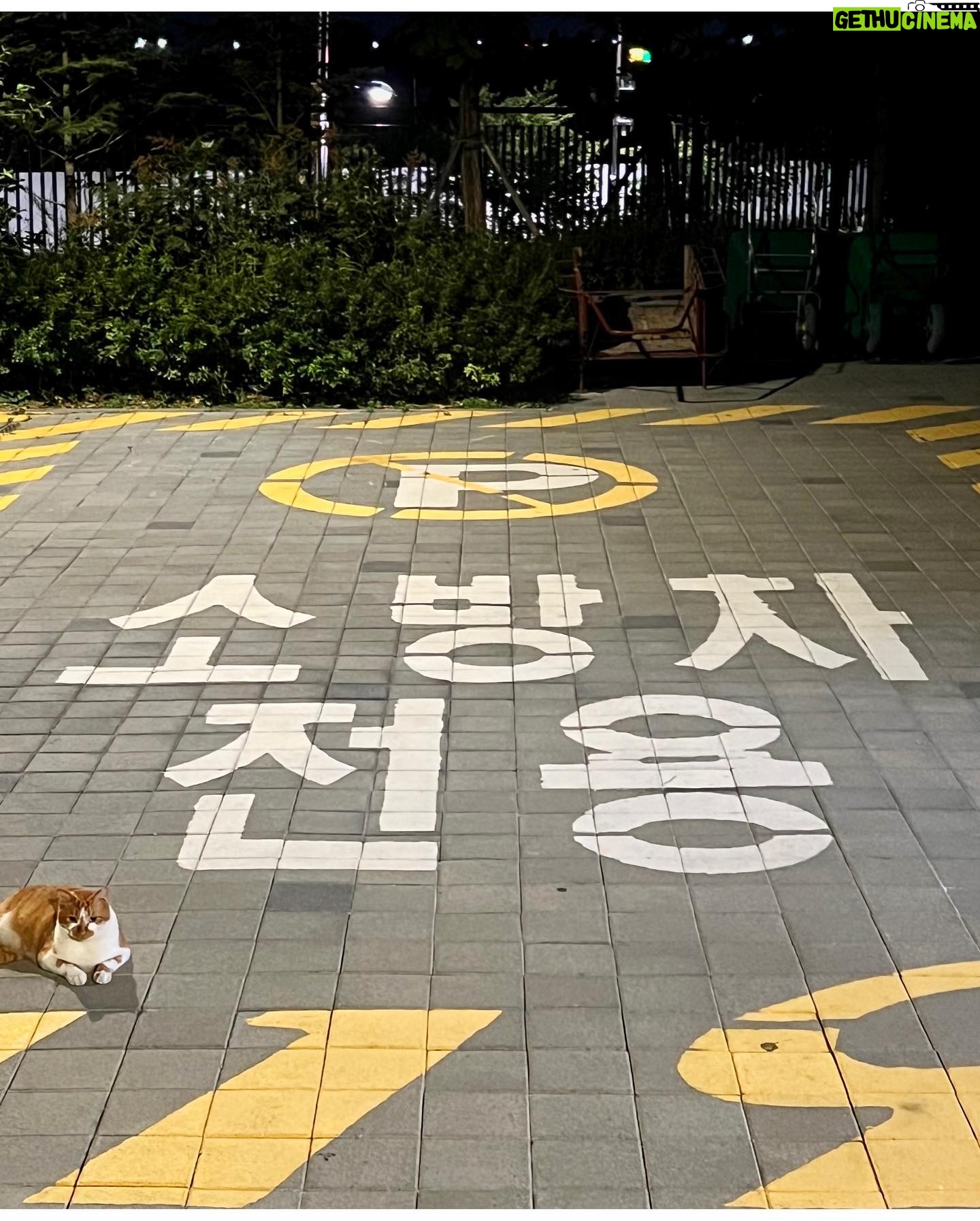 Eric Mun - 7.7K Likes - 소.방.차.전.용. 고양이전용 아닌데~ #고양이 #cat #소방차 #그녀에게전해주오🚒
