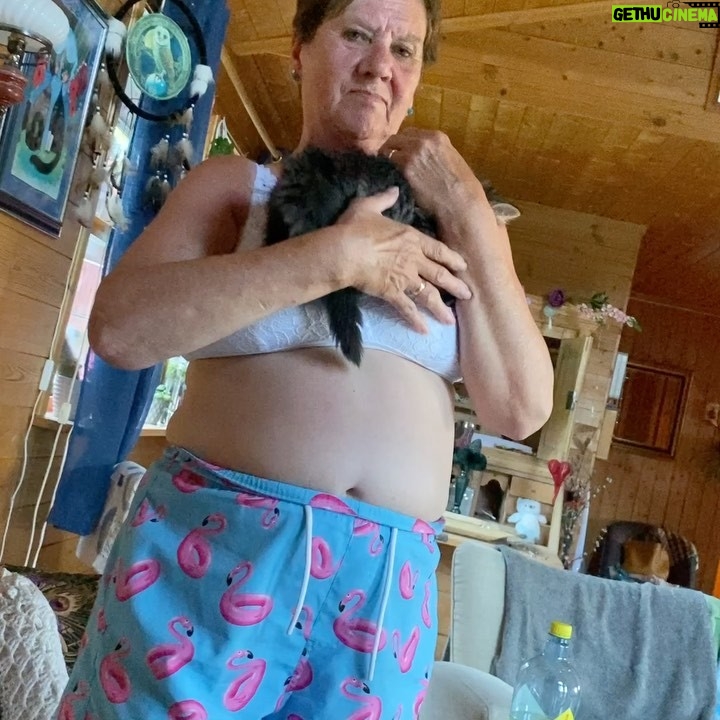 Erik Hagen - 5.7K Likes - Ny familie medlem nå blir det fart i gutta 🥰🦊🦅🌺👍