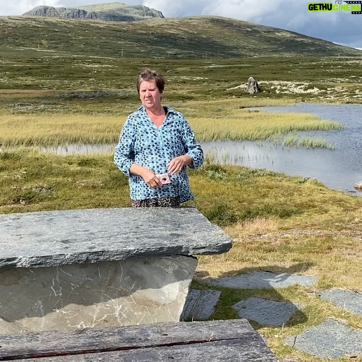 Erik Hagen - 2.5K Likes - Nå er vi påfjellet👍🦊😇🌺🐝