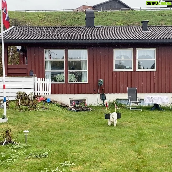 Erik Hagen - 3.5K Likes - 17 mai trist vær 🌺🐝🦅